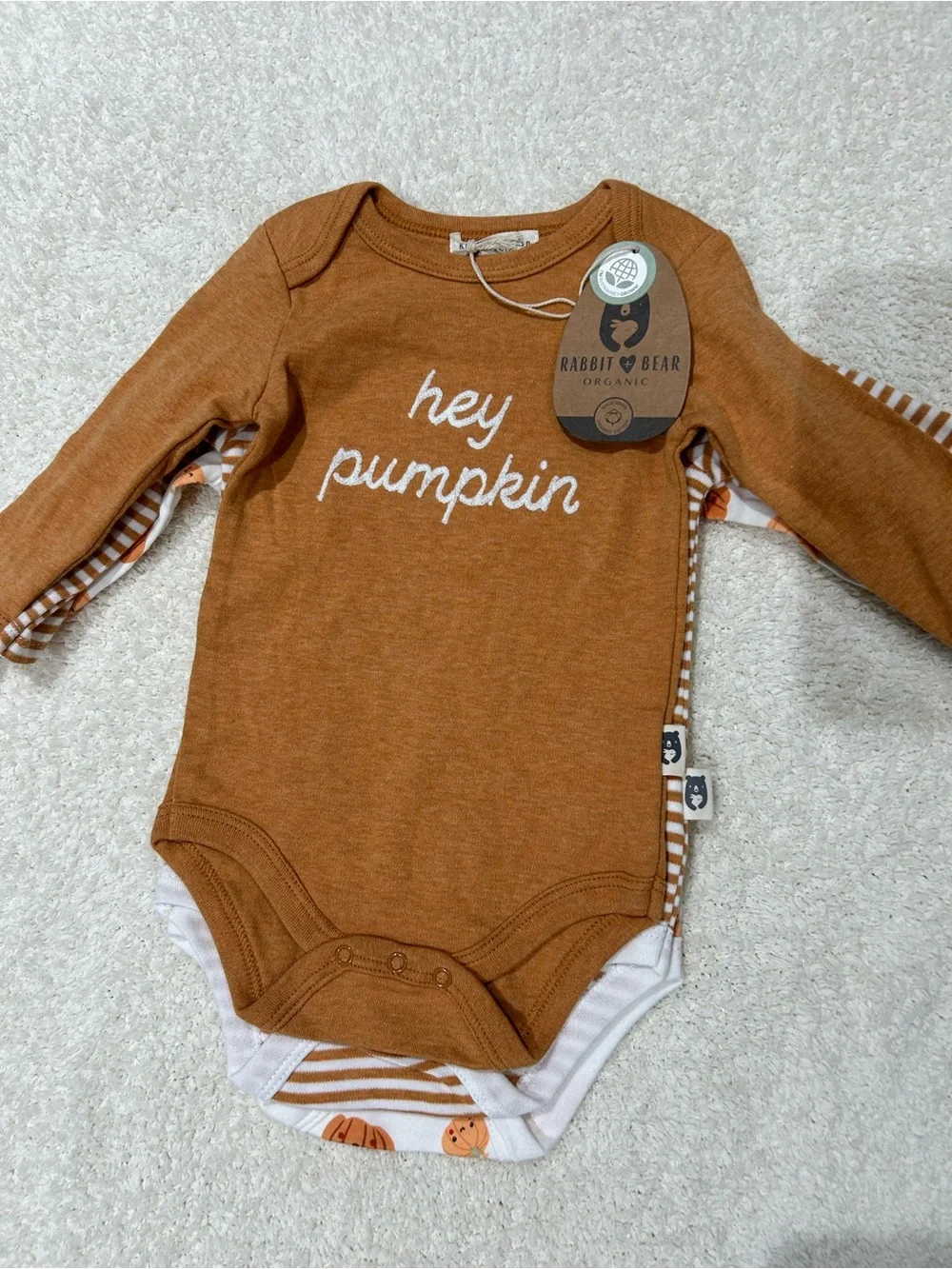 Rabbit + Bear Organic Pumpkin Long Sleeve Bodysuit Set Halloween NWT 6-9 month
